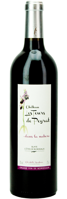 Château Les Tours de Peyrat